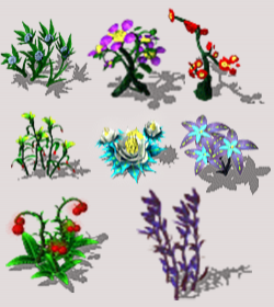 ţNPC0034-24-12 NPCز