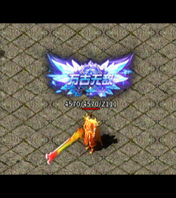 996Чƺ15-202402101801