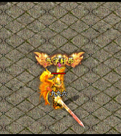 996ƺŶ-202402110149