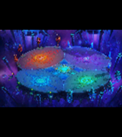 ţDT0165-YH24-03 ʵͼ-汾ͨ